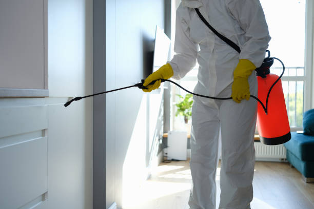 Best Mold Remediation for Schools in Spencer, IN